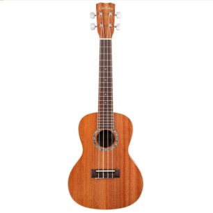 Cordoba CP100 – Nylon String Guitar Pack Buy Guitars & Accesories South Africa